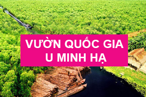 Vườn quốc gia U Minh Hạ